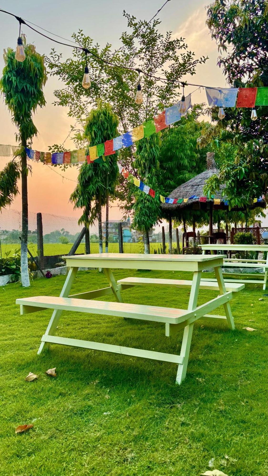Hotel Tree Tops- A Serene Friendly Hotel In Sauraha Chitwan Exteriör bild